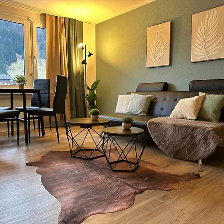 Apartment Zentrales 2,5-zimmer Mit Mega Bergblick